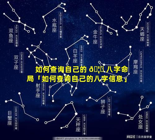 如何查询自己的 🦈 八字命局「如何查询自己的八字信息」